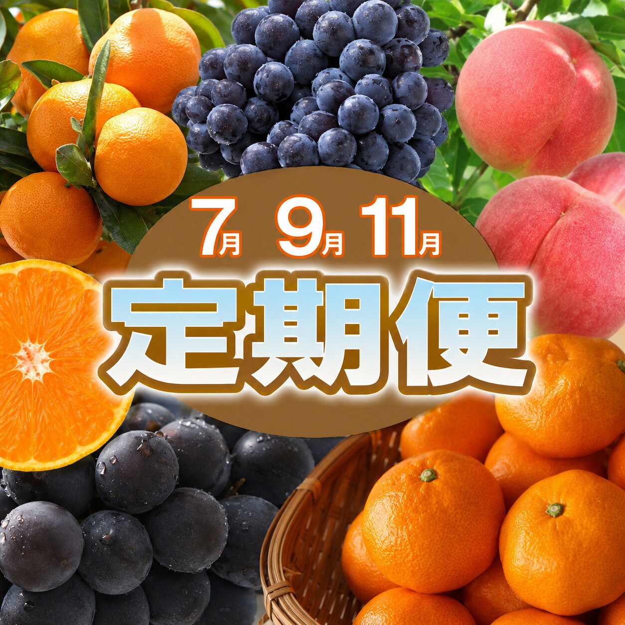 【ふるさと納税】【定期便全3回】産直・和歌山フルーツ定期便(桃・ピオーネ・有田みかん)|和歌山県かつらぎ町