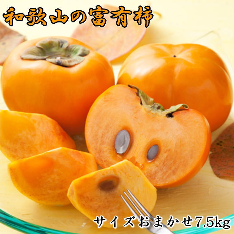 【ふるさと納税】 [甘柿の王様]和歌山産富有柿　約7.5kg サイズおまかせ★2025年11月上旬～12月中旬頃順次発送【TM5】 | フルーツ 果物 くだもの 食品 人気 おすすめ 送料無料