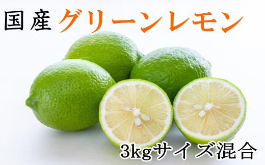 【ふるさと納税】［産直］和歌山産グリーンレモン約3kg（サイズ混合）★2025年10月下旬から11月中旬ごろ順次発送［TM7］ | フルーツ 果物 くだもの 食品 人気 おすすめ 送料無料
