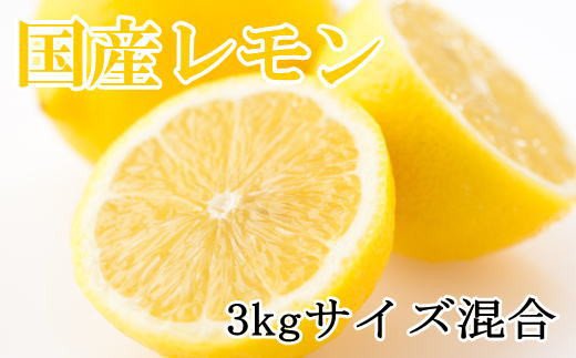 【ふるさと納税】【産直】和歌山産レモン約3kg（サイズ混合）★2025年3月中旬頃より順次発送【TM150】