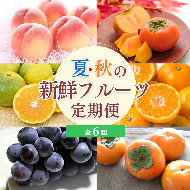 【ふるさと納税】【定期便全6回】夏・秋の新鮮フルーツ定期便