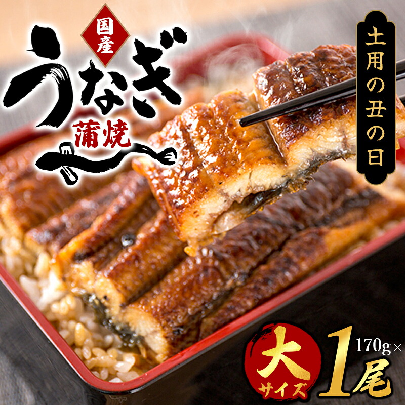 【ふるさと納税】 大型サイズ　ふっくら柔らか　国産うなぎ蒲焼き　１尾（約2人前）化粧箱入【土用の丑の日までにお届け】【UT04】【uot714A-dy】