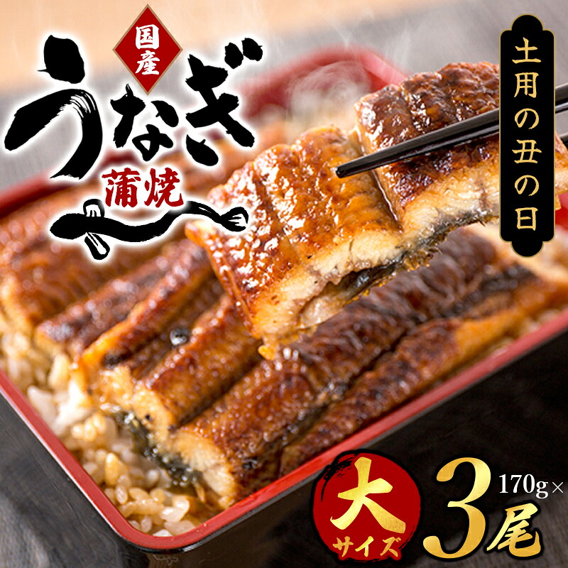 【ふるさと納税】 大型サイズ　ふっくら柔らか　国産うなぎ蒲焼き　3尾　化粧箱入【土用の丑の日までにお届け】【UT06】