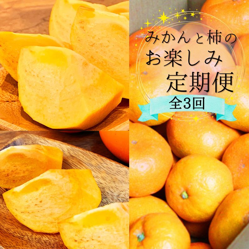 【ふるさと納税】 【10・11・12月 全3回】和歌山産 みかんと柿のお楽しみ 定期便 【魚鶴】【UT111】 | フルーツ 果物 くだもの みかん 柿 食品 人気 おすすめ 送料無料