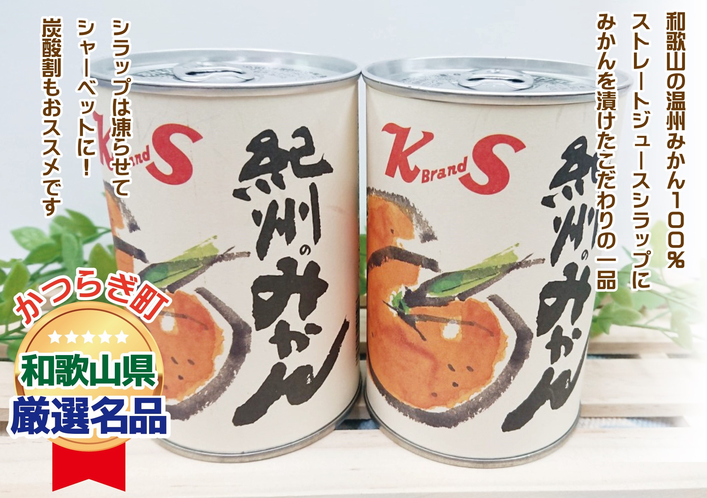 【ふるさと納税】【順次発送】紀州のみかん缶詰（みかん果汁入りシラップ）　12缶セット【KF5】 | 食品 加工食品 人気 おすすめ 送料無料