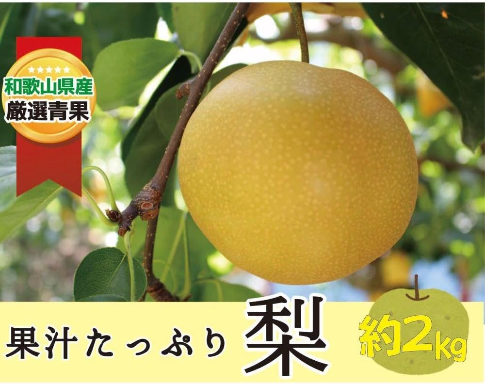 【ふるさと納税】果汁滴る絶品の梨(約２Kg）【2025年8月中旬～2025年9月上旬頃順次発送】 | フルーツ 果物 くだもの 食品 人気 おすすめ 送料無料 先行予約 数量限定 なし 絶品
