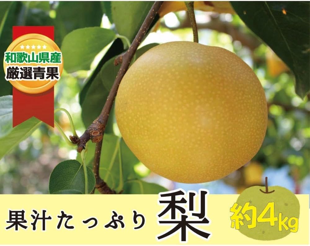 【ふるさと納税】果汁滴る絶品の梨(約４Kg）【2025年8月中旬～2025年9月上旬頃順次発送】 | フルーツ 果物 くだもの 食品 人気 おすすめ 送料無料 先行予約 数量限定 なし 絶品