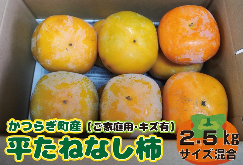 【ふるさと納税】たねなし柿　ご家庭用（傷有り）約2.5kg【2025年10月上旬から2025年11月上旬順次発送】 | フルーツ 果物 くだもの 食品 人気 おすすめ 送料無料 先行予約 数量限定 種無し たねなし かき
