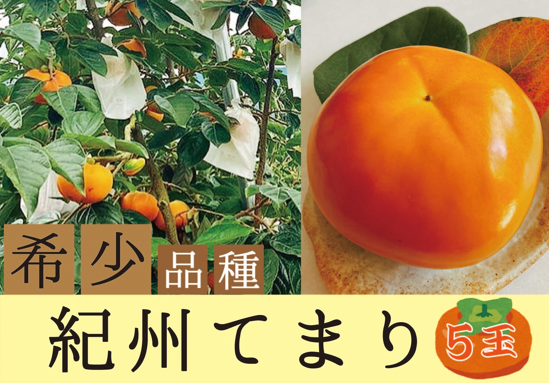 【ふるさと納税】希少品種の柿〇紀州てまり〇5玉化粧箱入り【2025年10月下旬以降発送】