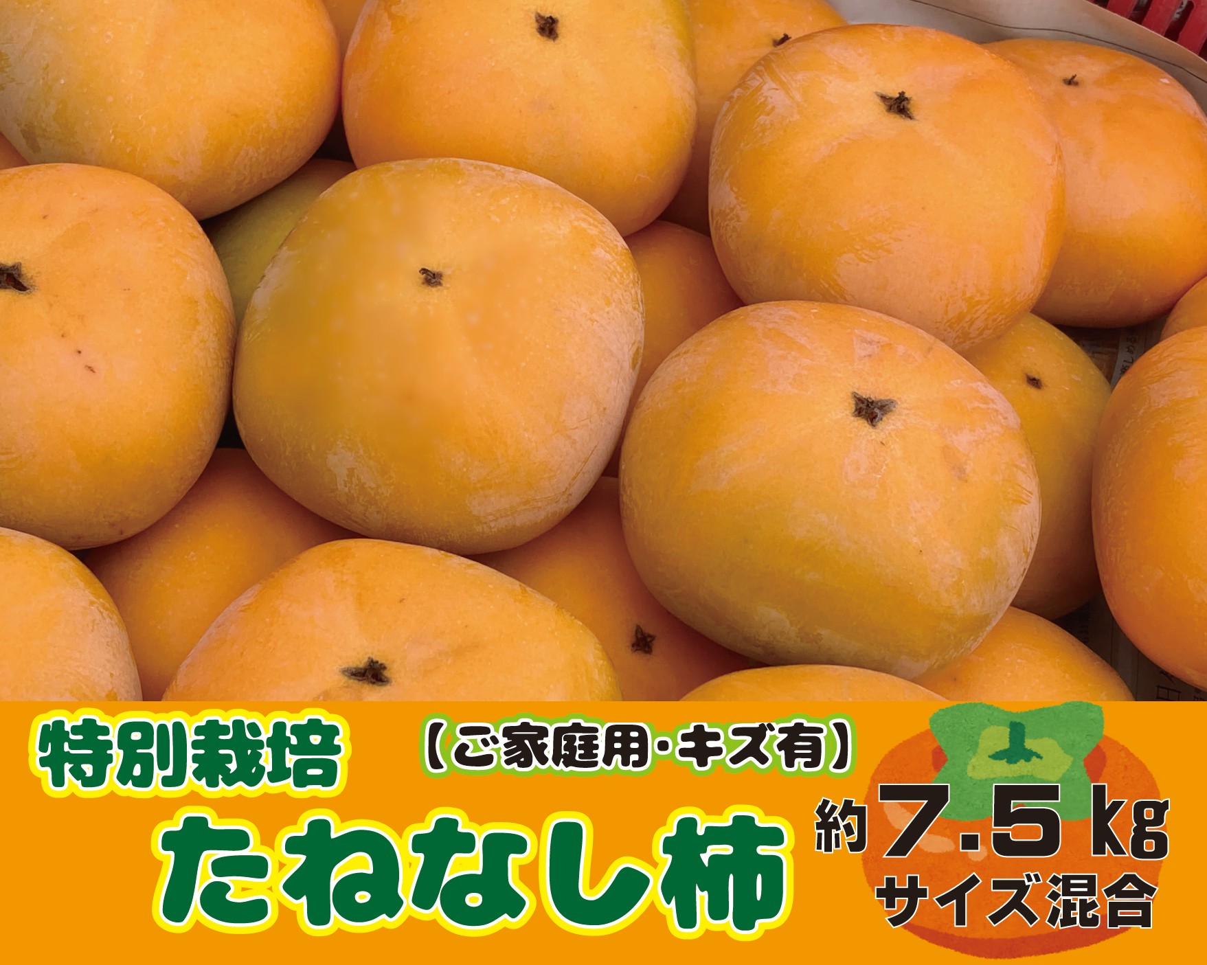 【ふるさと納税】特別栽培 たねなし柿 約7.5kg サイズいろいろ ご家庭用 【2025年10月より順次発送】