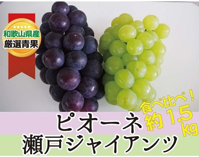 【ふるさと納税】ピオーネ＆瀬戸ジャイアンツ 約1.5kg ★食べ比べ★【2026年8月下旬～2026年9月中旬頃順次発送】/ 和歌山県 かつらぎ町 産地直送 マスカット ぶどう 葡萄 甘い ジューシー ピオーネ 高糖度 2026年【A241-frks135】
