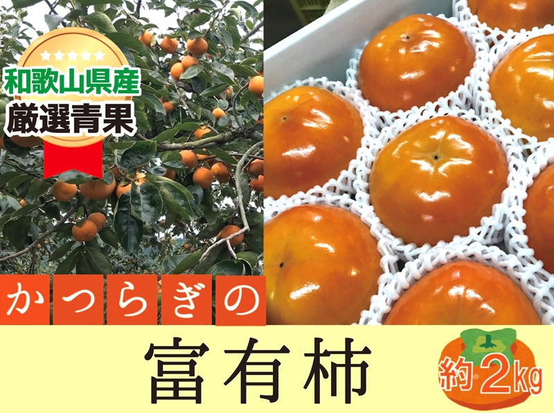 【ふるさと納税】柿 富有柿【秀品】和歌山県産 約2kg【2025年11月中旬から2025年12月上旬発送】
