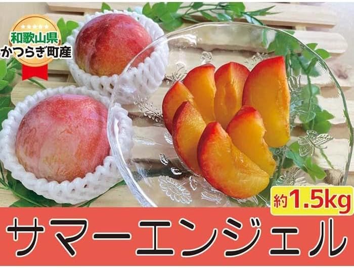 【ふるさと納税】すもも〇希少品種〇「サマーエンジェル」約1.5kg★7月上旬から7月中旬頃発送予定★ | フルーツ 果物 くだもの 食品 人気 おすすめ 送料無料