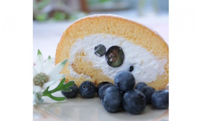 【ふるさと納税】 生ブルーベリーロールケーキ【2026年7月上旬~8月下旬発送】|和歌山県かつらぎ町