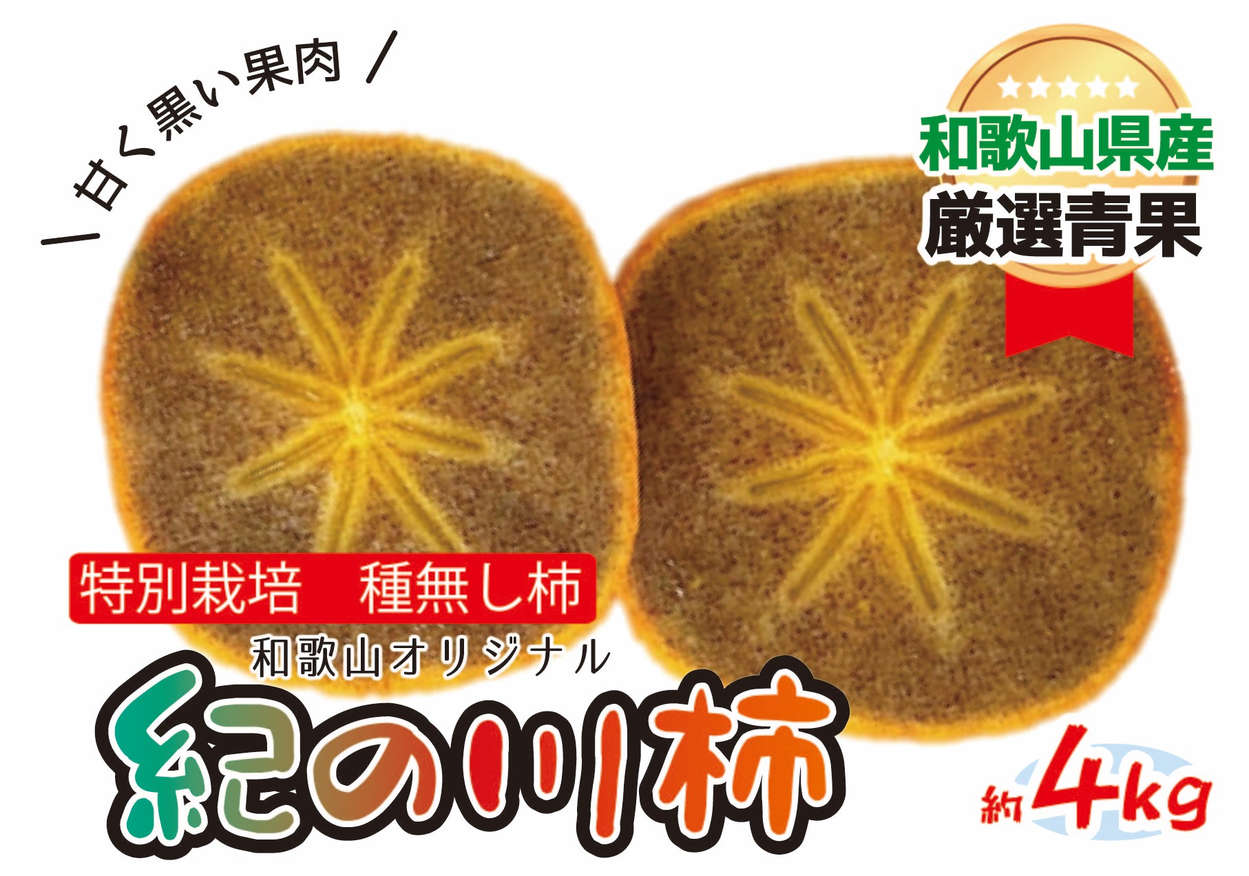 ふるさと納税 和歌山県 紀美野町 紀の川柿約1.8〜2kg（種無し）秀選品　※2024年10月中旬〜2024年11月中旬頃に順次発送 ／ 果物 フルーツ かき 旬