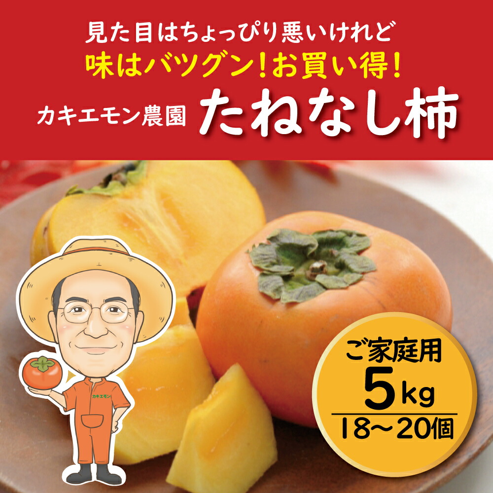 【ふるさと納税】【ご家庭用】たねなし柿 約5kg 18 ～ 20個 カキエモン農園【2025年9月下旬～10月末頃順次発送】 | 柿 かき フルーツ 果物 くだもの 食品 人気 おすすめ 送料無料 産地直送