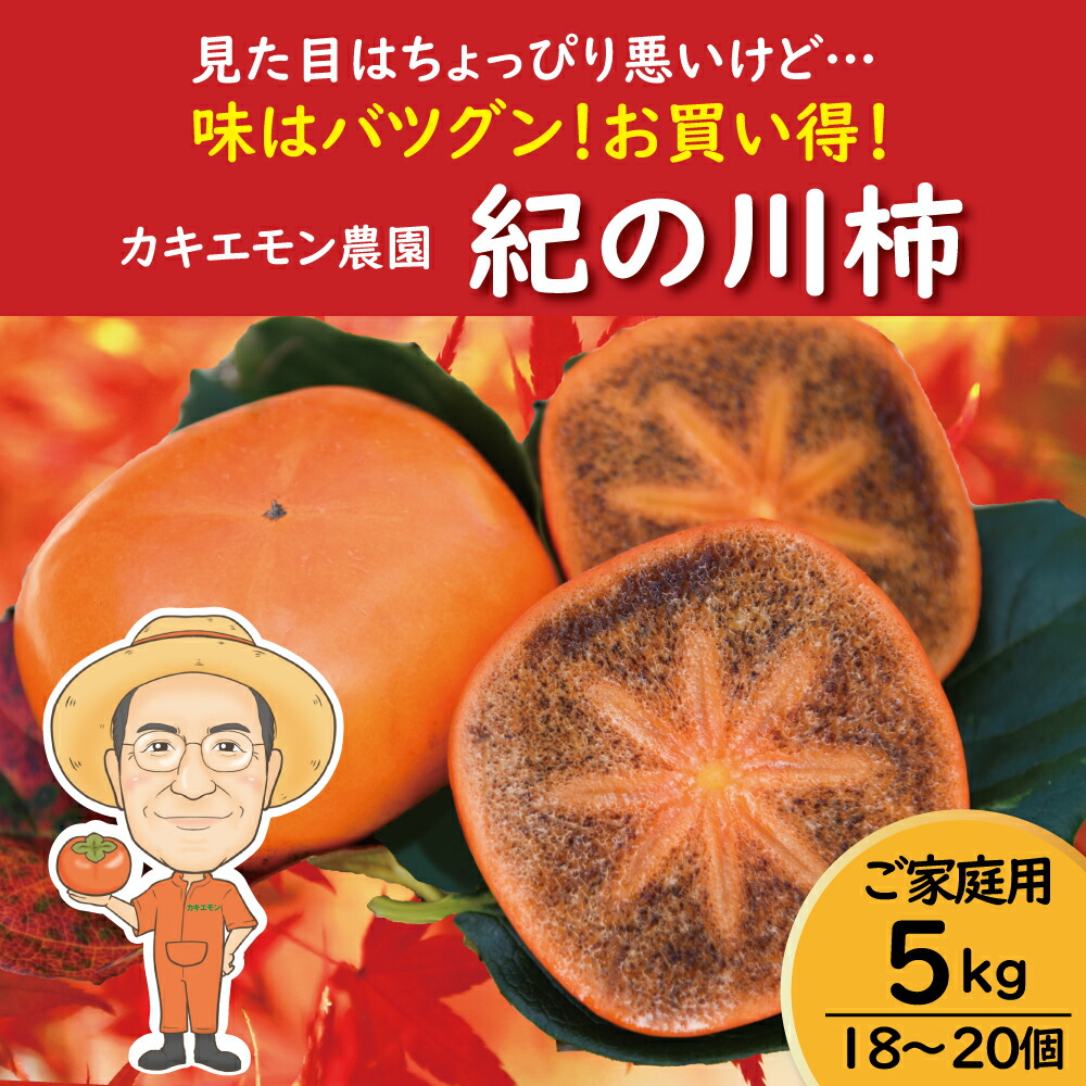 【ふるさと納税】【ご家庭用】紀の川柿 約5kg 18 ～ 20個 カキエモン農園 【2025年10月中旬～11月中旬頃順次発送】 果物 くだもの フルーツ 柿 かき 和歌山 人気 送料無料 | 柿 かき フルーツ 果物 くだもの 食品 人気 おすすめ 送料無料 産地直送