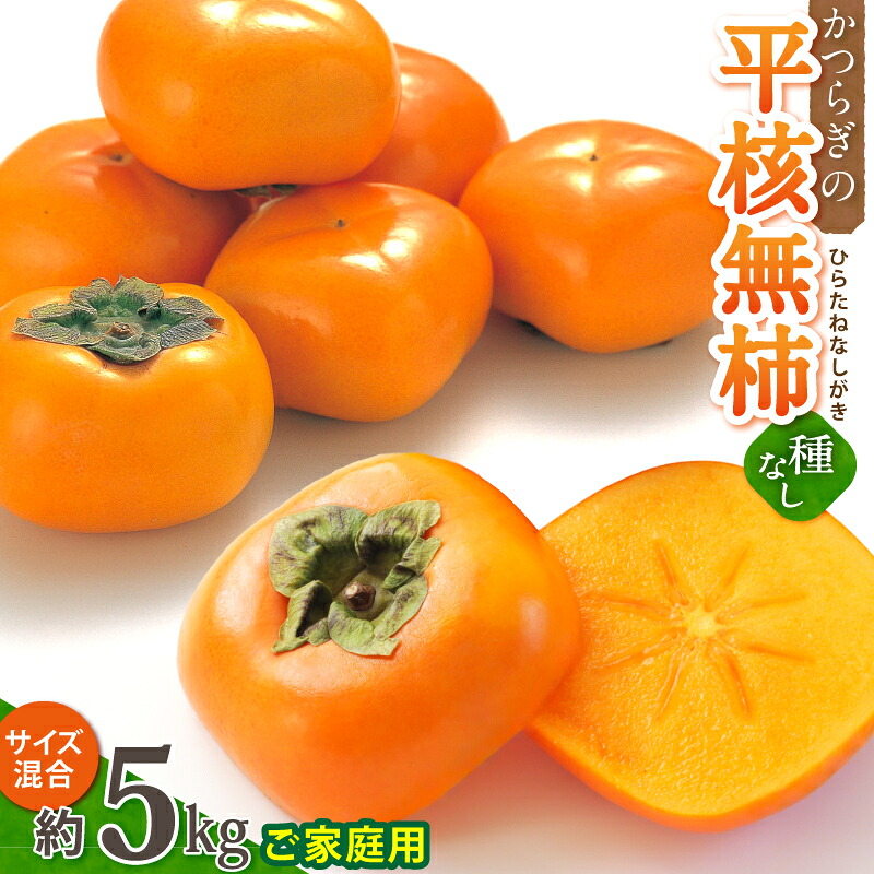 【ふるさと納税】 【訳あり・ご家庭用】和歌山県産 平核無柿 約5kg 【10月上旬~11月上旬順次発送】【MG68】 | 柿 たねなし柿 平核無柿 果物 フルーツ 和歌山ご家庭用 和歌山 特産品 先行予約 お取り寄せ 訳あり 家庭用|和歌山県かつらぎ町