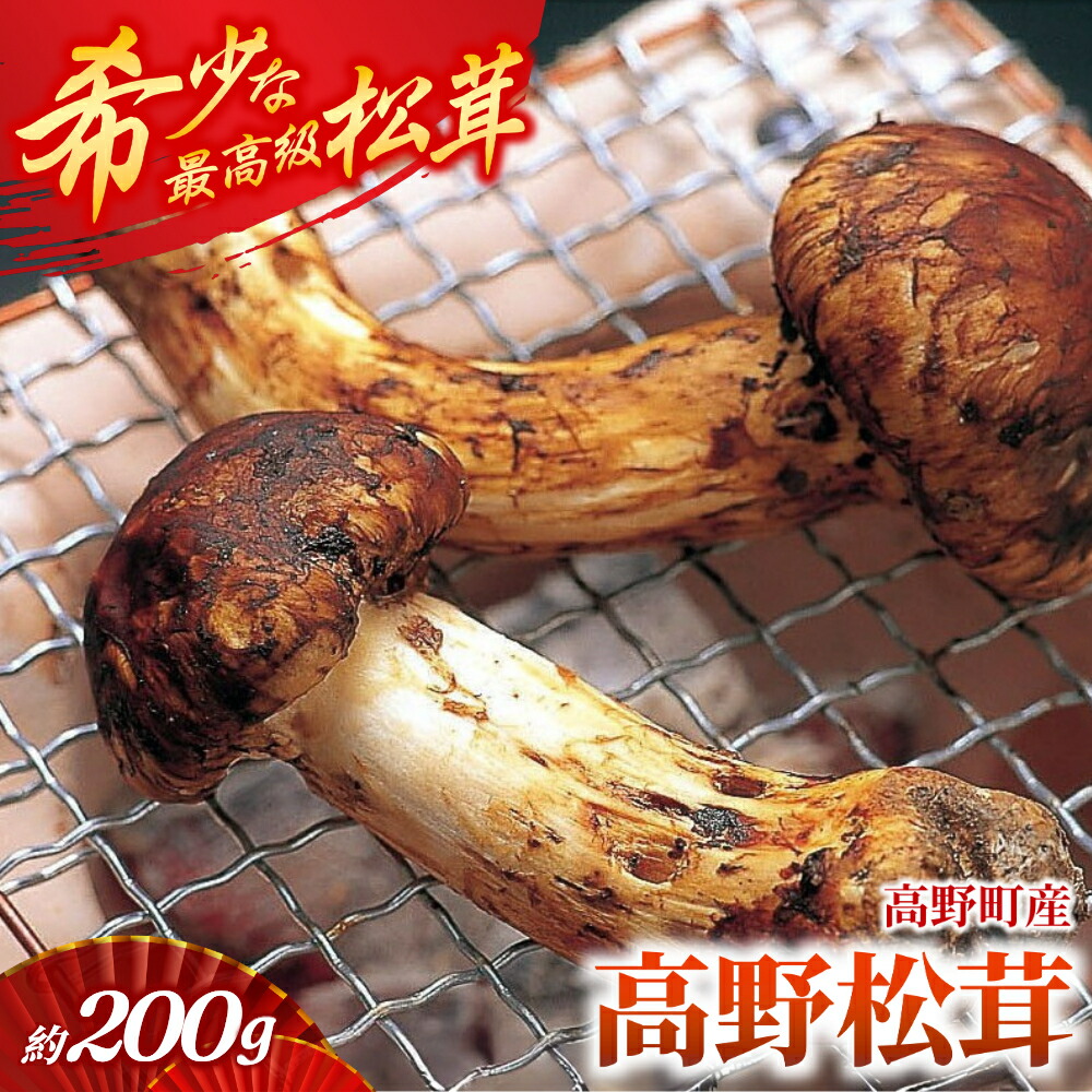 楽天市場】【ふるさと納税】期間・数量限定 極上 丹波松茸