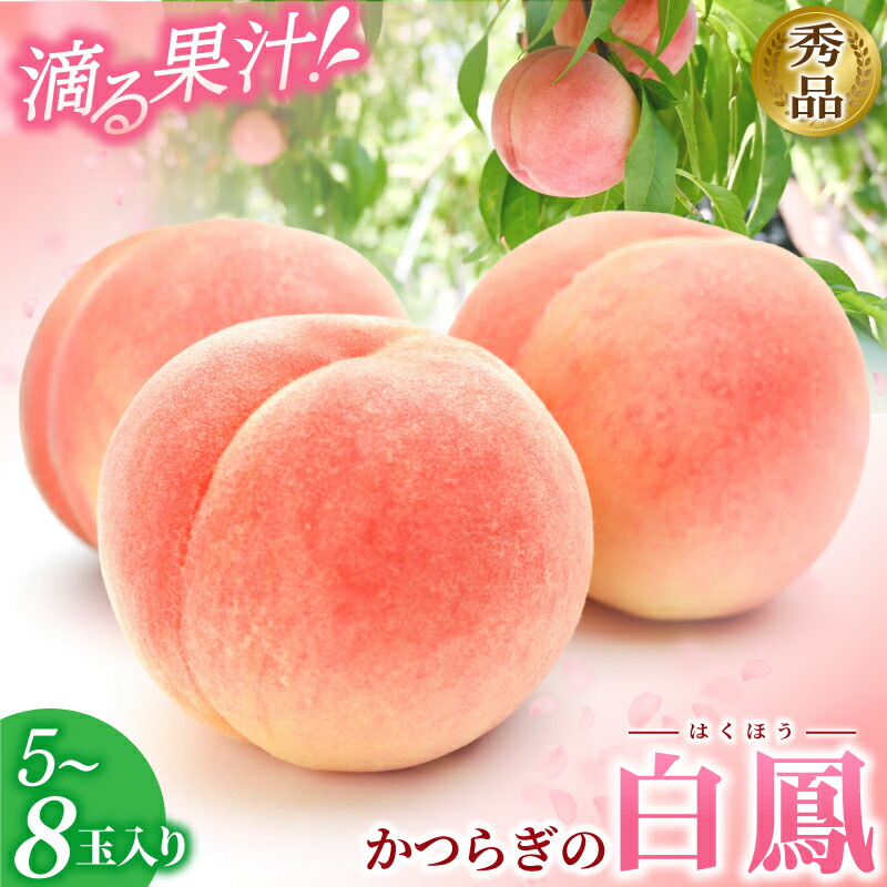 【ふるさと納税】 桃 和歌山県産 白鳳 約2kg (5～8玉) 秀品 ☆化粧箱入☆ 《2025年6月下旬から7月下旬ごろ発送》 桃 もも モモ 果物 くだもの フルーツ 先行予約 白鳳 人気 和歌山の桃 贈答 贈り物 プレゼント 数量限定 お取り寄せ かつらぎ町 送料無料 【MG6】