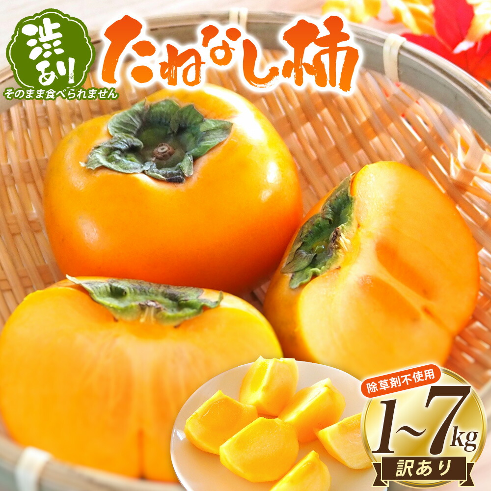 【ふるさと納税】【訳あり・ご家庭用】たねなし柿「渋あり」訳あり 約1～7kg【選べる容量】【9月下旬～11月上旬頃順次発送】  / 柿 フルーツ 果物 かき 和歌山 かつらぎ 農家直送 贈答  【KG27】