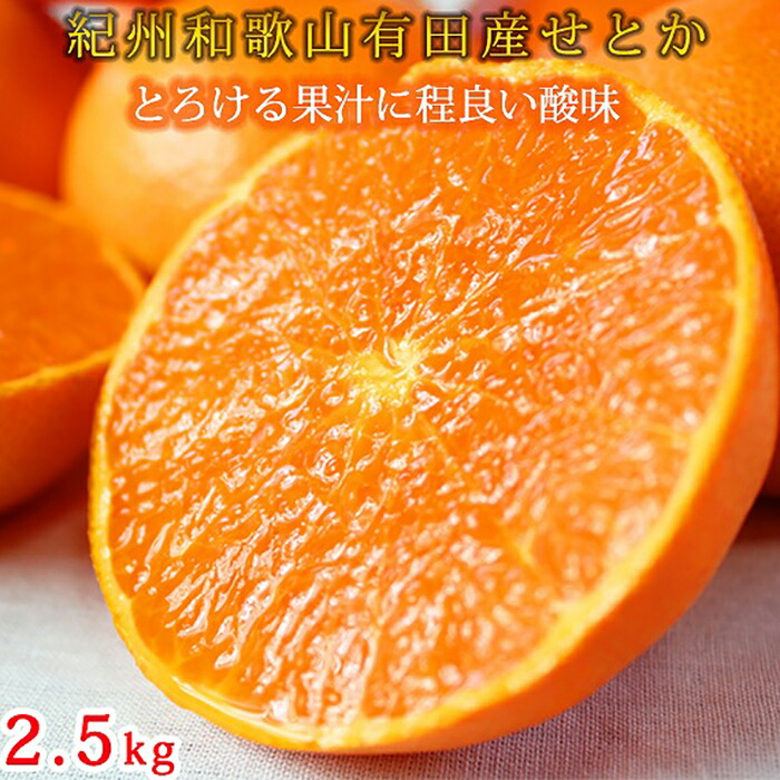 【ふるさと納税】紀州有田産せとか約2.5kg　とろける食感！ジューシー柑橘【2026年2月上旬以降発送】【先行予約】【UT02】 | 楽天ふるさと納税 納税 返礼品 支援品 支援 返礼 フルーツ 果物