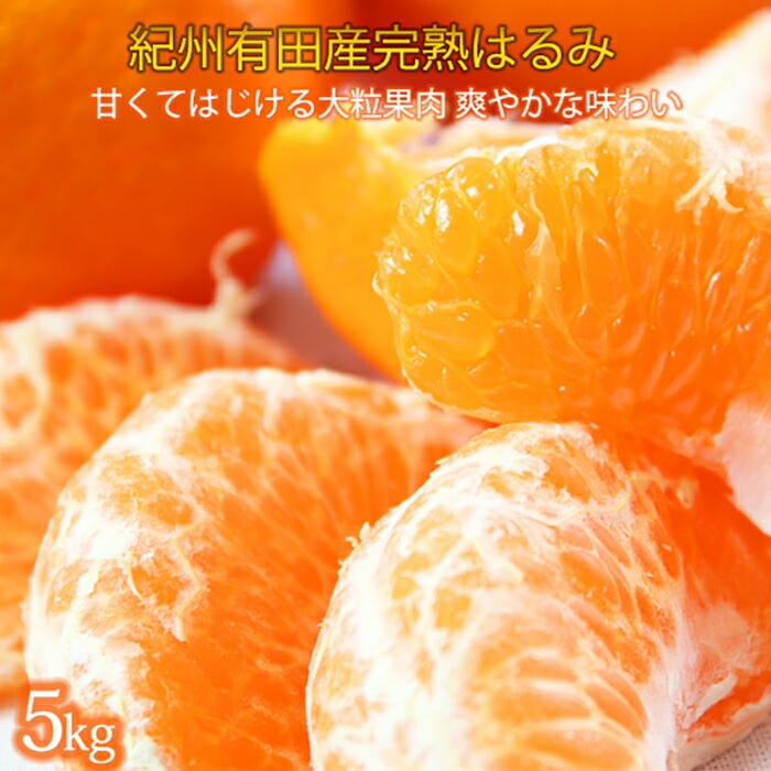 【ふるさと納税】果肉ぷりぷり!完熟はるみ　５ｋｇ【2026年2月中旬頃～2026年2月下旬頃に順次発送】【UT22】 | みかん 和歌山県 和歌山 九度山町 楽天ふるさと納税 楽天ふるさと 納税 返礼品 支援品 支援 返礼 フルーツ 果物 ふるーつ くだもの お取り寄せ