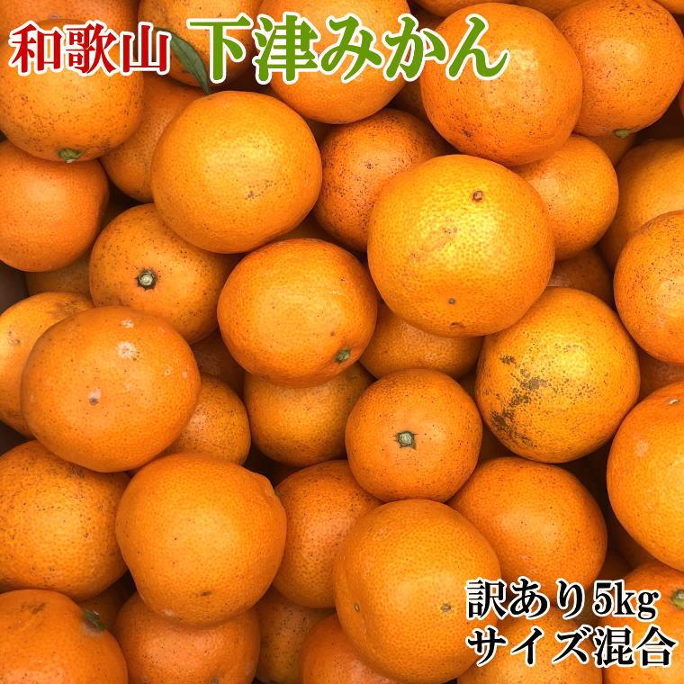 【ふるさと納税】［訳あり］和歌山下津みかん約5kgご家庭用向け(サイズ混合) ★2026年11月中旬頃より順次発送［TM77］ | みかん 和歌山県 和歌山 九度山町 ふるさと 納税 支援 支援品 返礼品 蜜柑 早生みかん 下津みかん 温州みかん お土産｜和歌山県九度山町
