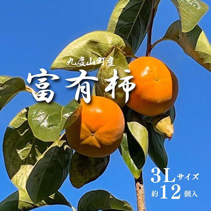 【ふるさと納税】［先行予約］富有柿（青秀以上３Ｌサイズ１２個入り）［2026年11月下旬より順次発送］ | 九度山町 青秀ランク 大玉 柿 甘み濃厚 人気 おすすめ フルーツ 果物 贈答用 旬の味覚 ギフト 果実箱 お取り寄せ 送料無料 ふるさと納税｜和歌山県九度山町