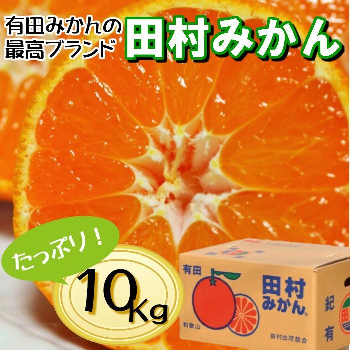 【ふるさと納税】高級みかん秀 田村みかん 約10kg 〔2026年12月発送分］〔NGT12w］ | みかん 蜜柑 フルーツ 果物 くだもの 食品 人気 おすすめ 送料無料｜和歌山県九度山町