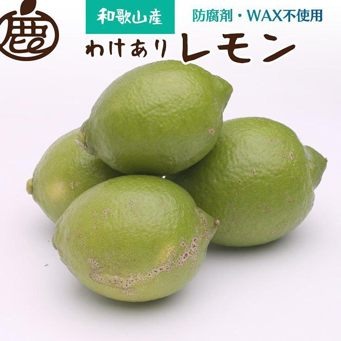 【ふるさと納税】家庭用 レモン5kg+250g（傷み補償分）【和歌山有田産】【防腐剤・WAX不使用、安心の国産レモン】【わけあり・訳ありレモン】［IKE126］ | 和歌山県 和歌山 ふるさと 納税 果物 くだもの フルーツ