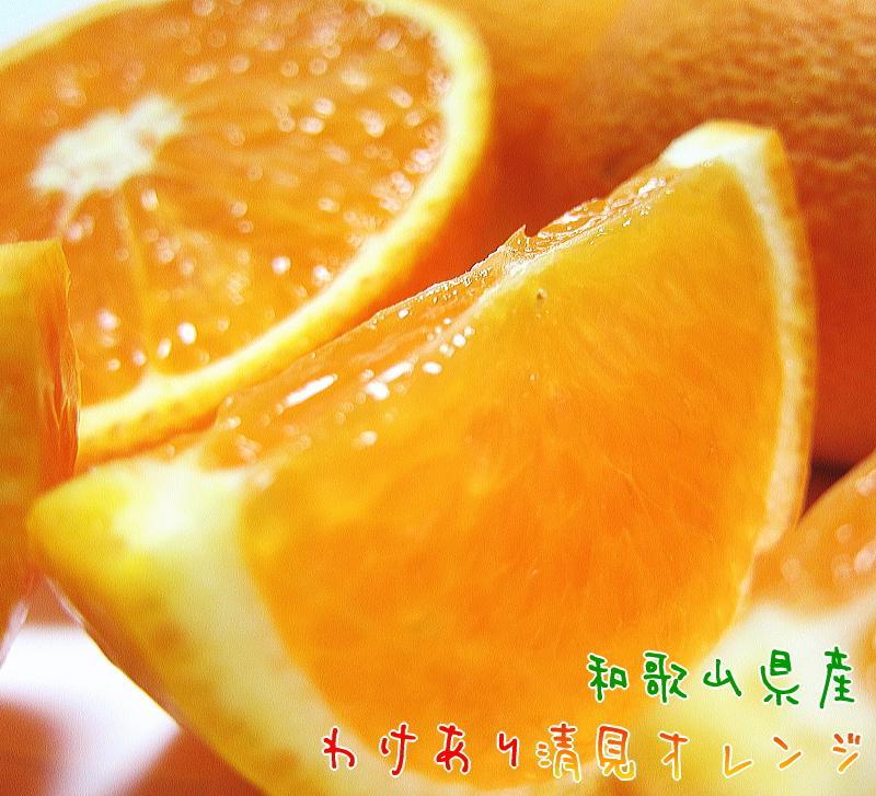 【ふるさと納税】有田育ちの 完熟 清見 オレンジ（ご家庭用）約5kg［先行予約］［MS33］ | フルーツ 果物 くだもの 食品 人気 おすすめ 送料無料 9,240円