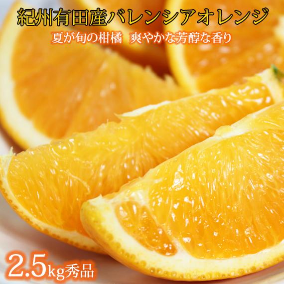 【ふるさと納税】秀品 希少な国産バレンシアオレンジ 2.5kg【2025年6月下旬頃～2025年7月上旬頃に順次発送】【UT75】 | 和歌山 オレンジ 柑橘 柑橘類 かんきつ 果物 くだもの フルーツ 旬の果物 果実 食品 食べ物 食材 美味しい おいしい ギフト