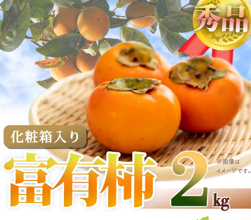 【ふるさと納税】和歌山秋の味覚　富有柿　約２ｋｇ化粧箱入「2025年11月上旬以降発送予定」【UT49】 | フルーツ 楽天ふるさと納税 楽天ふるさと 納税 返礼品 支援品 支援 返礼 柿 かき カキ 果物 ふるーつ くだもの お取り寄せ ご当地 ふゆうがき 名産品 特産品 お土産