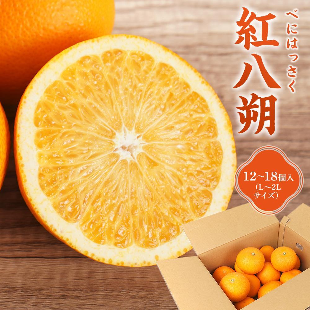 【ふるさと納税】先行予約！希少な紅はっさく 12～18個入り（L～2Lサイズ）［2027年2月初旬頃から発送］［KG9］ | はっさく フルーツ 果物 くだもの 食品 人気 おすすめ 送料無料｜和歌山県九度山町 10,800円