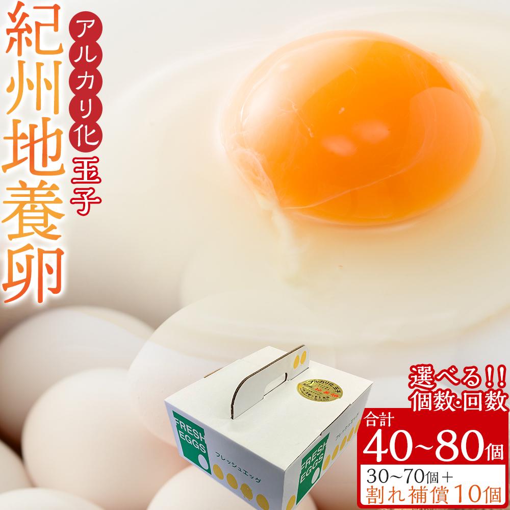 【ふるさと納税】アルカリ化 玉子 紀州地養卵  40個～80個【通常便・定期便】卵 たまご 玉子 タマゴ 鶏卵 まとめ買い オムレツ 卵かけご飯 朝食 業務用 | 卵 食品 人気 おすすめ 送料無料 定期便
