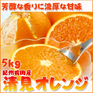 【ふるさと納税】とにかくジューシー清見オレンジ　5kg［2026年3月下旬以降発送］［先行予約］［UT53］ | 和歌山 九度山町 ふるさと 納税 楽天ふるさと 返礼品 お礼の品 名産品 特産品 取り寄せ お取り寄せ グルメ オレンジ 果物 くだもの 清見オレンジ