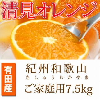 【ふるさと納税】［ご家庭用訳アリ］紀州有田産清見オレンジ　7.5kg［2026年3月下旬以降発送］［先行予約］［UT54］ | 訳あり 和歌山 九度山町 ふるさと 取り寄せ ご当地 訳アリ わけあり オレンジ フルーツ 果物 くだもの 清見オレンジ 柑橘類 かんきつ類 柑橘