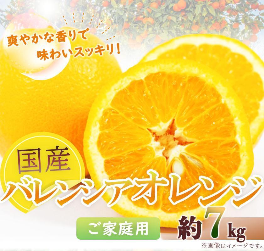 【ふるさと納税】希少な国産バレンシアオレンジ 7kg【ご家庭用訳あり】【2025年6月下旬頃～2025年7月上旬頃に順次発送】【UT77】 | 楽天ふるさと 名産品 取り寄せ グルメ お取り寄せグルメ ご当地 ご当地グルメ 訳あり 訳アリ わけあり オレンジ フルーツ