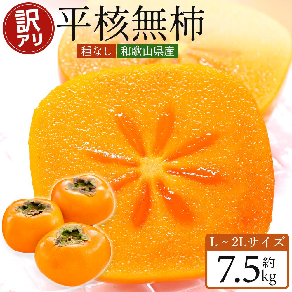 【ふるさと納税】リピーター多数 和歌山県産 訳あり 平核無柿 7.5kg L~2L サイズをお届け たねなし柿なのでお子様でも食べやすい 選果場から直送でお届けします＜ 2025年10月上旬～発送＞ | 九度山町ふるさと納税 人気のフルーツ 柿 送料無料　種無し柿 ご家庭用