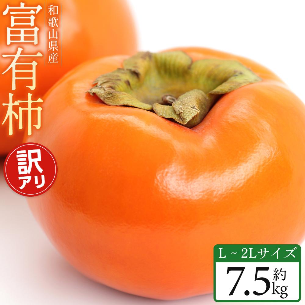 【ふるさと納税】【2025年11月中旬～発送】和歌山県産 訳あり 富有柿 7.5kg L ~ 2L サイズ ご家庭用 柿 選果場 直送 | 柿 かき フルーツ 果物 くだもの 食品 人気 おすすめ 送料無料