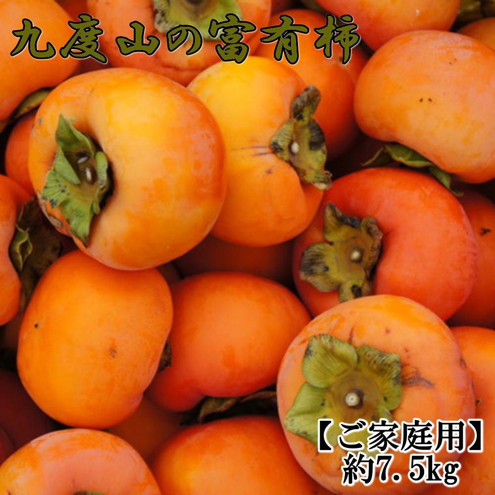 【ふるさと納税】≪柿の名産地≫九度山の富有柿約7.5kgご家庭用★2025年11月上旬頃より順次発送【TM1】 | 和歌山県 楽天ふるさと 納税 支援品 返礼品 お取り寄せグルメ 取り寄せ グルメ フルーツ 果物 くだもの 果実 特産品 家庭用 ご自宅用 お取り寄せ 訳あり わけあり