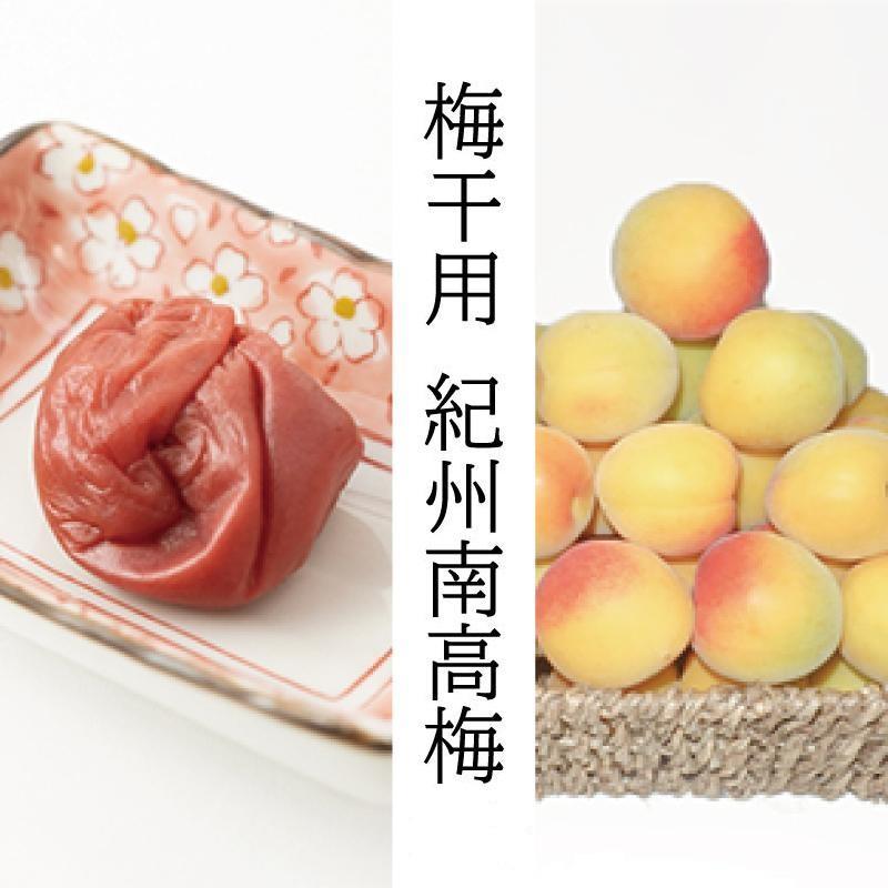 【ふるさと納税】【梅干・梅酒用】（2LまたはL－2Kg）熟南高梅＜2025年6月上旬～7月7日発送予定＞フルーツ 果物 くだもの 食品 人気 おすすめ 送料無料【ART04】