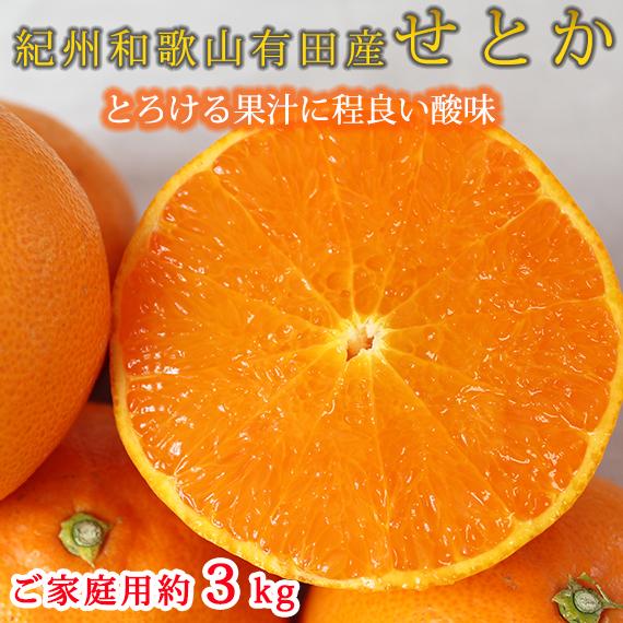【ふるさと納税】紀州有田産せとか約3kg［ご家庭用］　とろける食感！ジューシー柑橘［2027年2月下旬以降発送］［先行予約］［UT133］ | フルーツ 果物 くだもの 食品 人気 おすすめ 産地直送 送料無料｜和歌山県九度山町