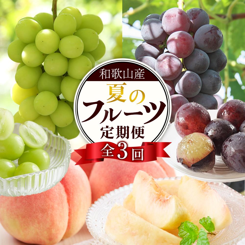 【ふるさと納税】定期便全3回 【7月・8月・9月発送】 和歌山のフルーツをお届け（桃・たねなしピオーネ・シャインマスカット）【TM180】 | フルーツ 果物 くだもの 食品 人気 おすすめ 送料無料 定期便 産地直送