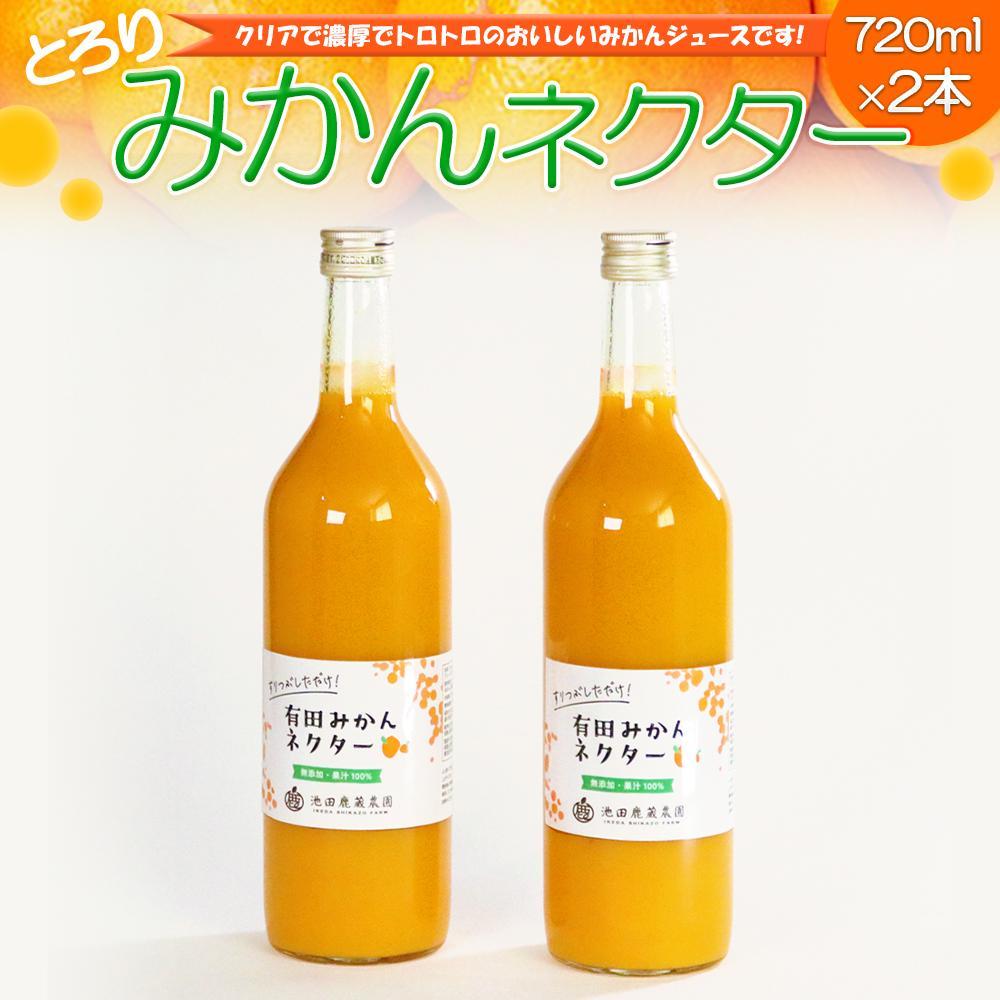【ふるさと納税】とろり　みかんネクター720ml&times;2本［IKE225］ | フルーツ 果物 くだもの 食品 人気 おすすめ 送料無料｜和歌山県九度山町