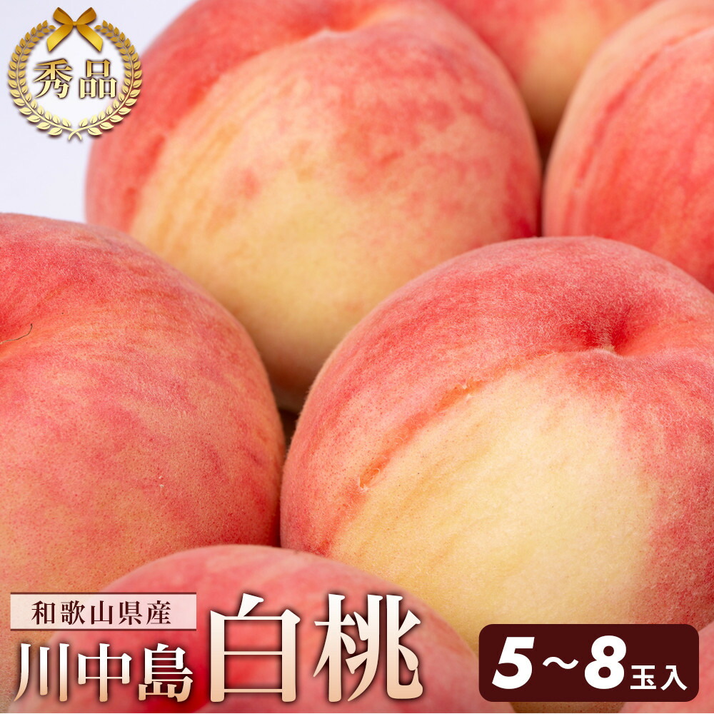 【ふるさと納税】和歌山県産 川中島白桃 5～8玉入り 秀品 先行予約【2025年7月下旬以降発送】【MG7】 | もも モモ フルーツ 果物 和歌山県 和歌山 九度山町 楽天ふるさと 納税 返礼品 支援 桃 くだもの 白桃 お取り寄せ ご当地 果実 特産品 名産品 お土産 旬の果物 ふるーつ
