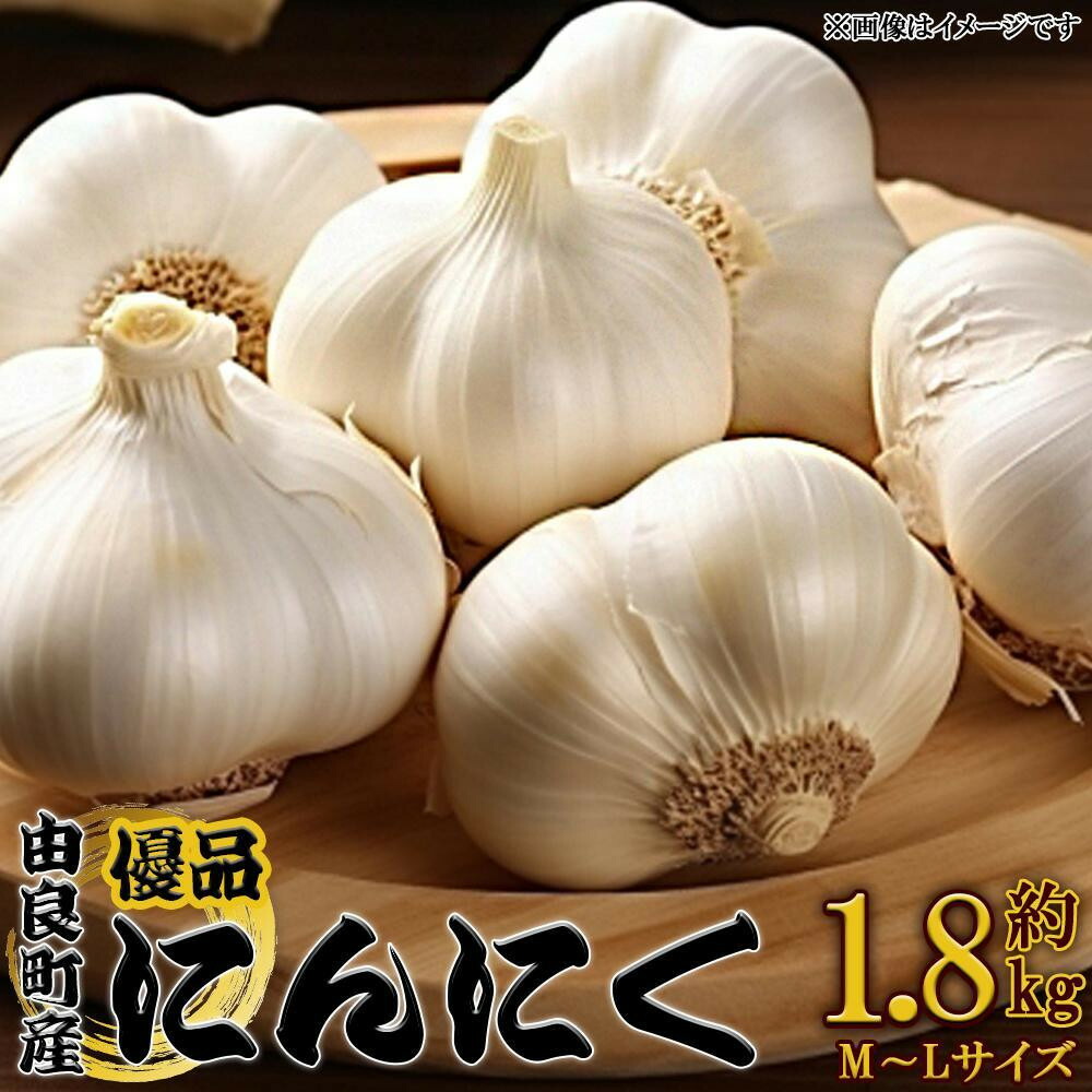 【ふるさと納税】由良町産にんにく 優品 約1.8kg(900g×2／M～Lサイズ)【SL18】 | 野菜 やさい 食品 人気 おすすめ 送料無料