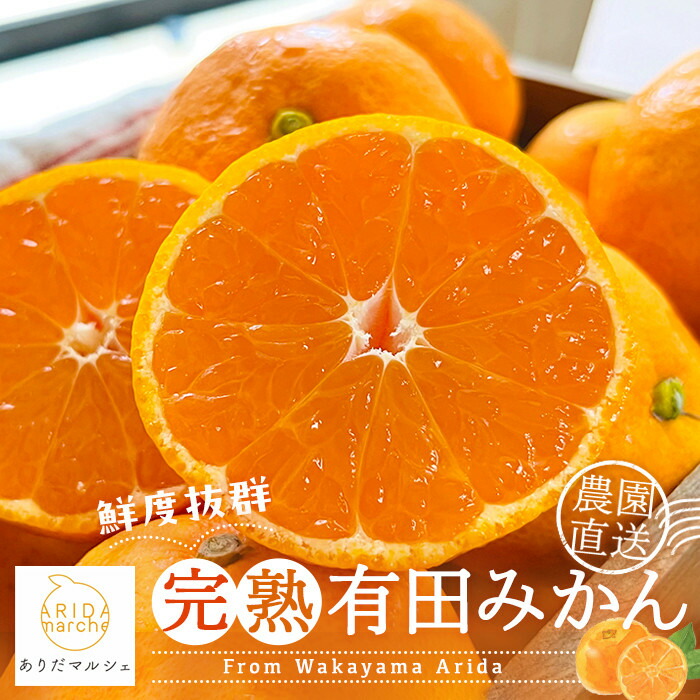 【ふるさと納税】農家直送 完熟 有田みかん 2kg［先行予約 2026年12月発送 ］［MS12-2］ | 有田みかん みかん ミカン 完熟 フルーツ 果物 くだもの 食品 人気 おすすめ 送料無料 農家直送