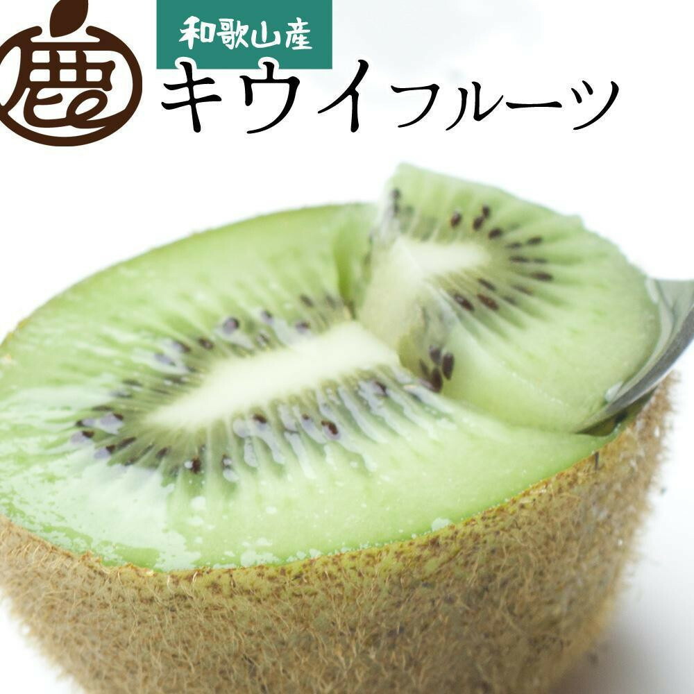 【ふるさと納税】【選べる容量】［先行予約］厳選 キウイ1kg～5kg+250g（傷み補償分）【扁平果】 | 和歌山県 和歌山 九度山町 ふるさと 納税 キウイフルーツ キウイ 果物 くだもの フルーツ 旬の果物 果実 食品｜和歌山県九度山町